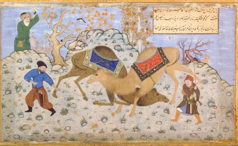Two decorated camels locked in a fight while their handlers try to part them.